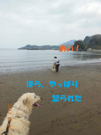 f0176830_22523984.jpg