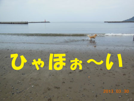 f0176830_23124149.jpg