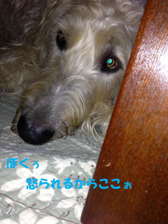 f0176830_23572667.jpg