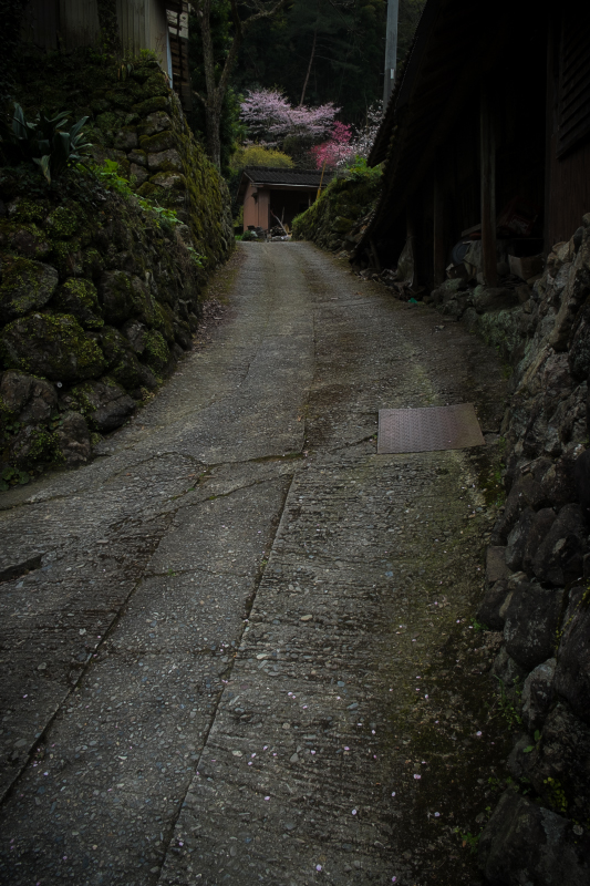 d0004832_18385368.jpg