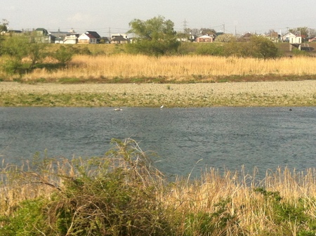 d0013834_2221949.jpg