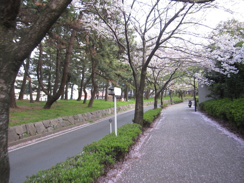 e0245543_14171069.jpg