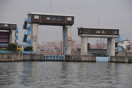 c0027849_22324346.jpg