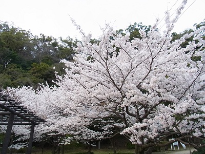 a0251851_0384011.jpg