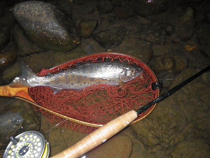 c0060452_935150.jpg