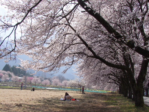 e0088260_10334863.jpg