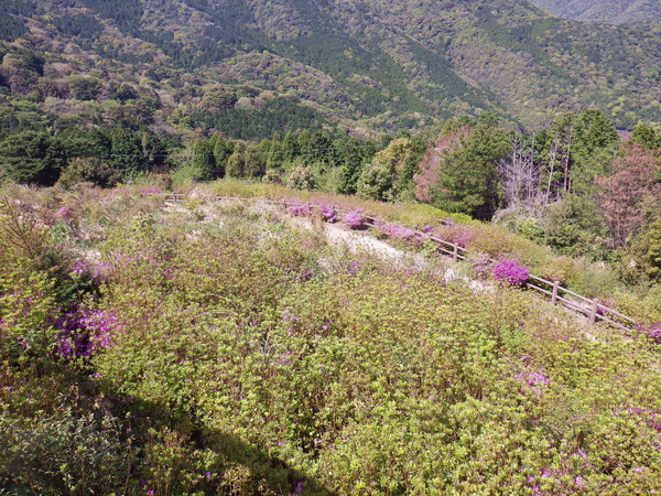 a0112066_122898.jpg