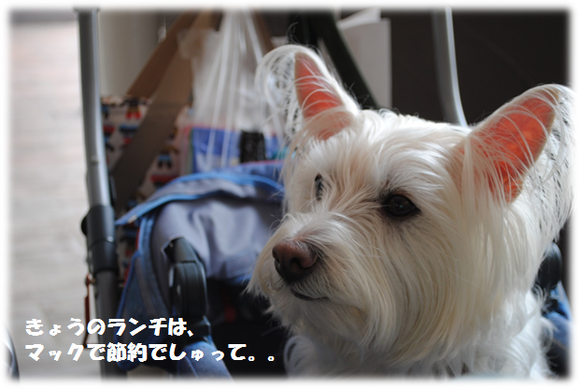 b0242873_22343319.png