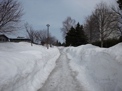 a0268377_196247.jpg