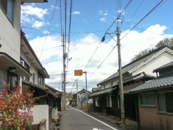 a0053783_830315.jpg