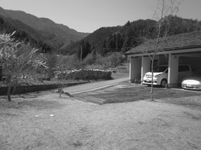 e0096485_115894.jpg