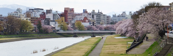 c0156789_20454652.jpg