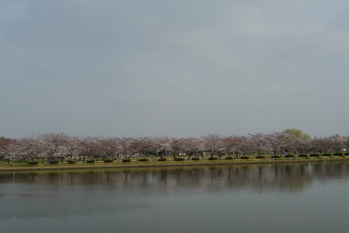 a0127090_9551385.jpg
