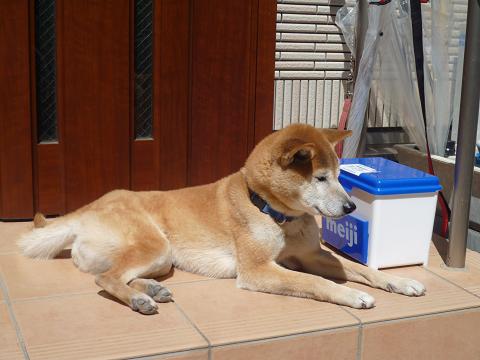 c0123890_18371070.jpg