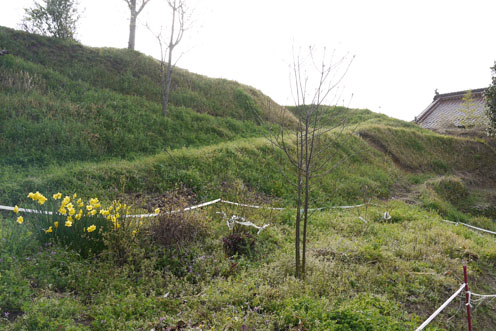 f0222692_8391087.jpg