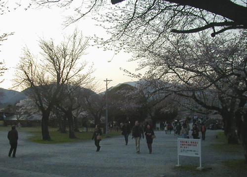 d0053294_18283715.jpg