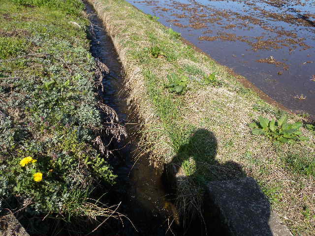 a0199297_19143298.jpg