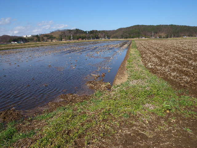 a0199297_19275617.jpg