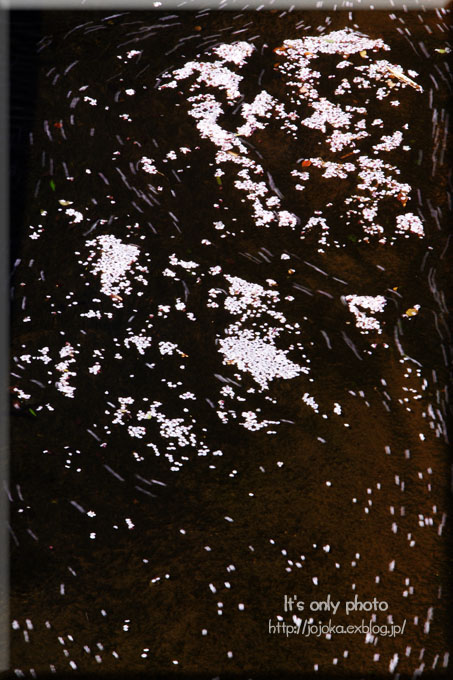 e0008800_1424280.jpg