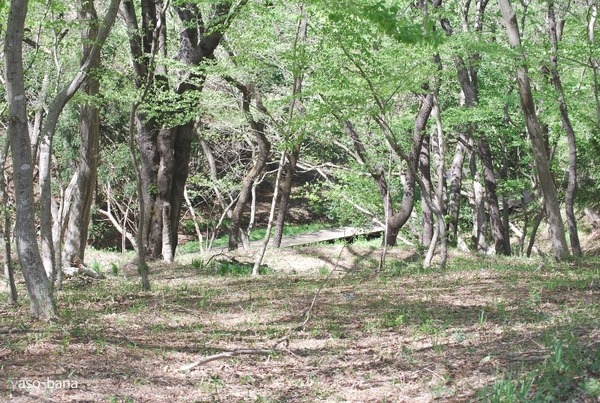 e0025300_1431337.jpg