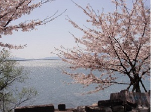 e0207503_8454218.jpg