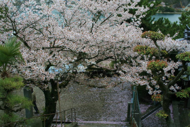 f0031304_7261171.jpg