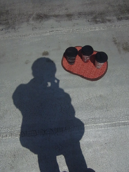 e0203009_22272225.jpg