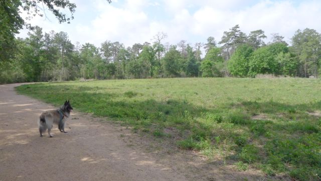 f0227709_3171296.jpg