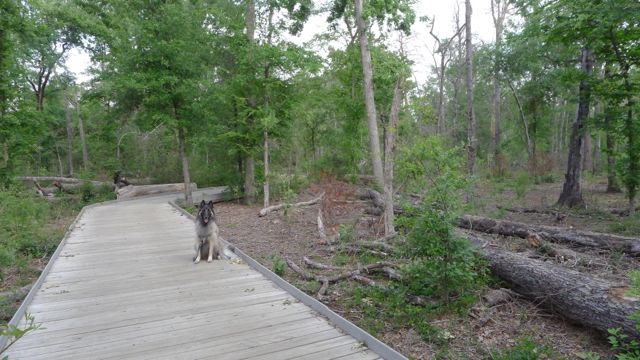 f0227709_317716.jpg