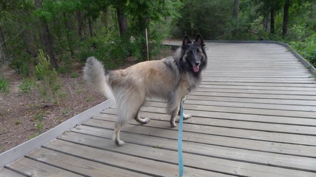 f0227709_317793.jpg