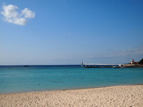 a0157619_2254114.jpg