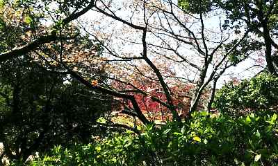 e0047322_201234.jpg