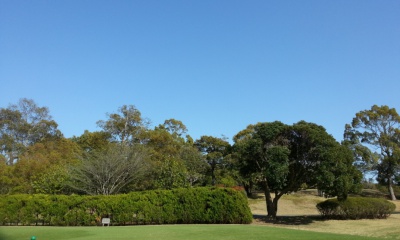 e0047322_20124514.jpg