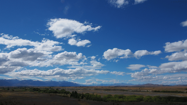 e0098223_10303872.gif
