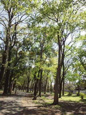 f0106823_1002873.jpg