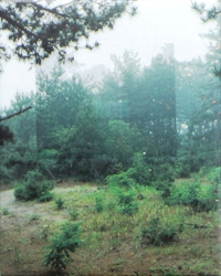 b0035326_14233795.jpg