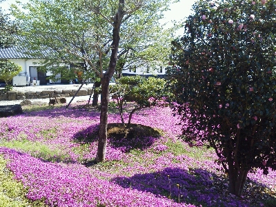 e0322827_6404843.jpg
