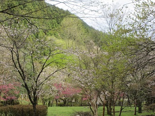 c0051529_1610650.jpg