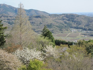 c0051529_1618172.jpg