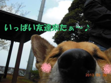 f0176830_0185370.jpg
