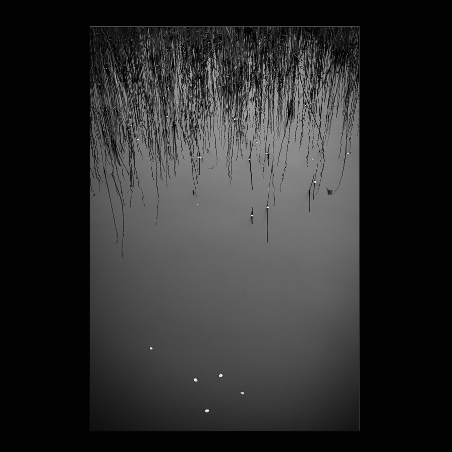 d0004832_215011100.jpg