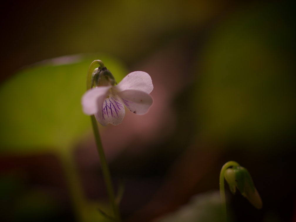 b0201233_22171299.jpg