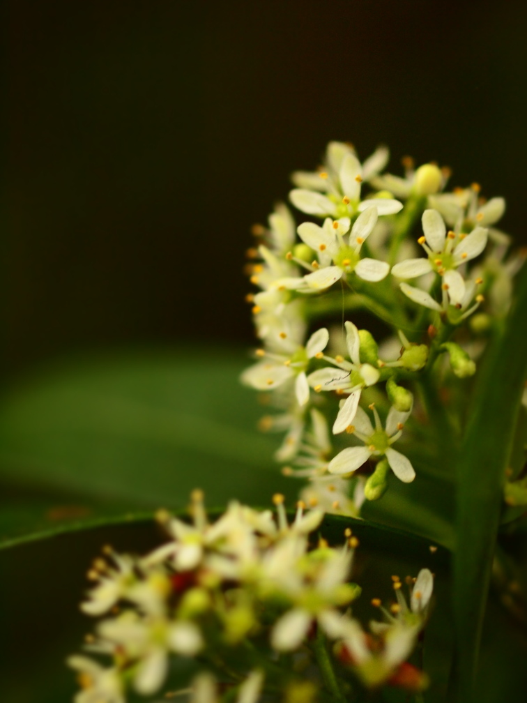 b0201233_22172552.jpg