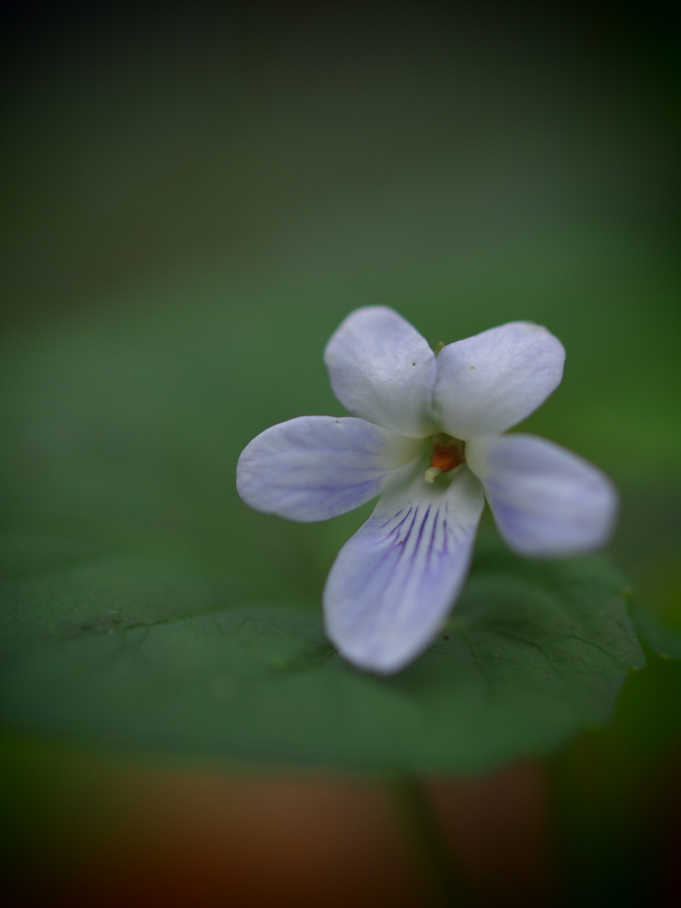 b0201233_22173549.jpg