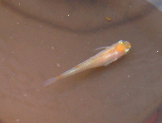 e0097534_14492545.jpg