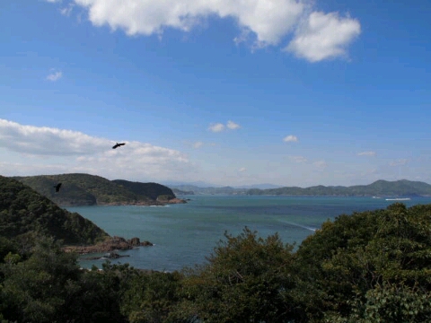 b0199742_22512450.jpg