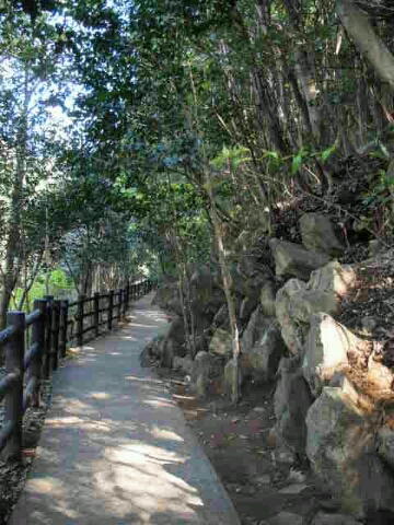 b0199742_2323180.jpg