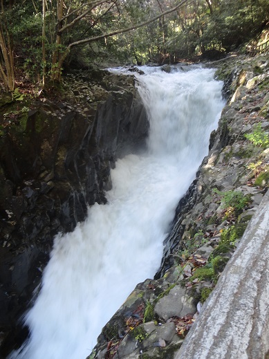 e0201748_6293727.jpg
