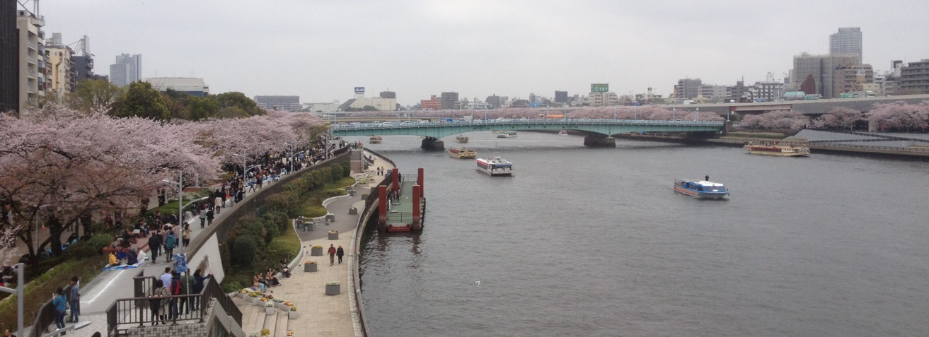 a0119252_1625116.jpg