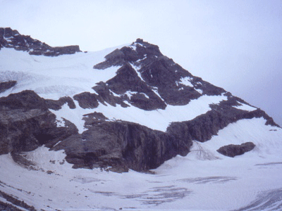 a0044453_17394895.gif